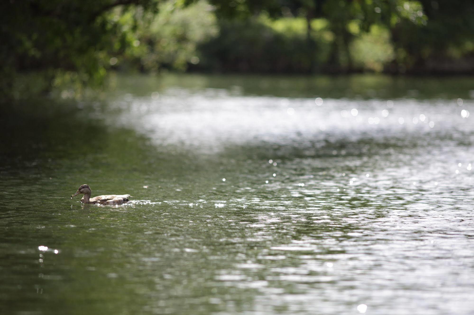 Hotel The Runnymede On Thames (Adults Only) Egham Esterno foto